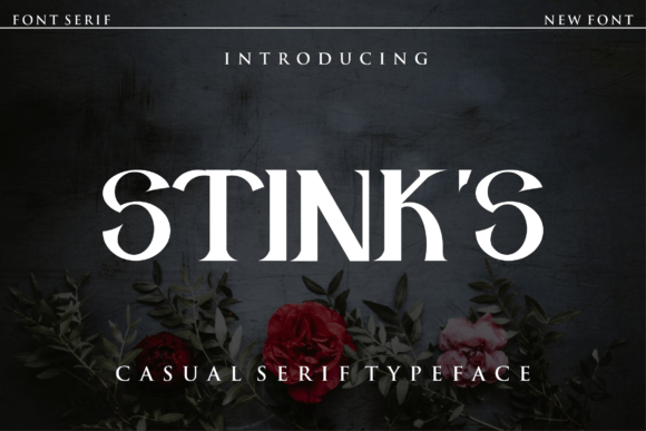 Stink s: A Bold and Versatile Serif Display Font